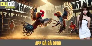 App Đá Gà Du88 - Theo Dõi Chiến Kê Và Đặt Cược Chuẩn Xác