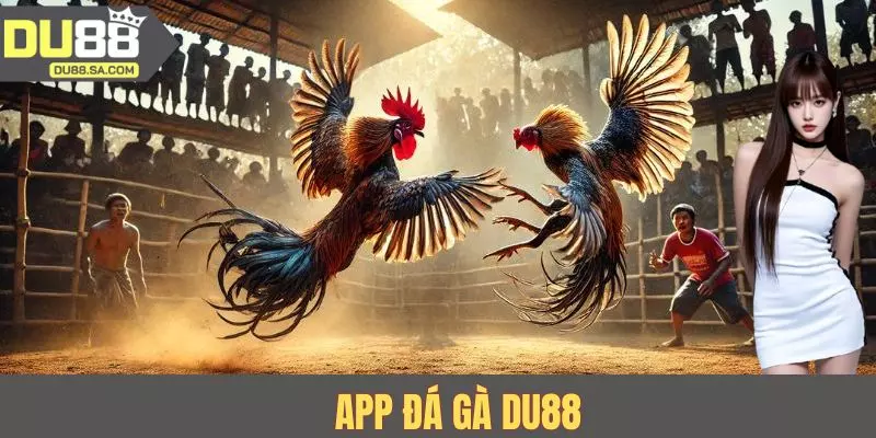 App Đá Gà Du88 - Theo Dõi Chiến Kê Và Đặt Cược Chuẩn Xác