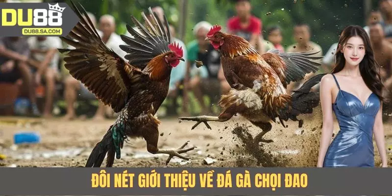 Đôi nét giới thiệu về đá gà chọi đao