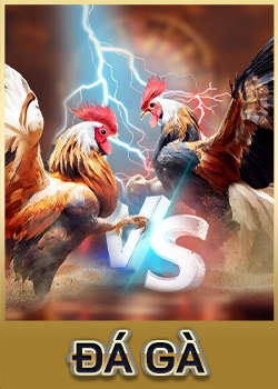 icon du88 đá gà