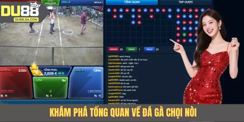 Khám phá tổng quan về đá gà chọi nòi 