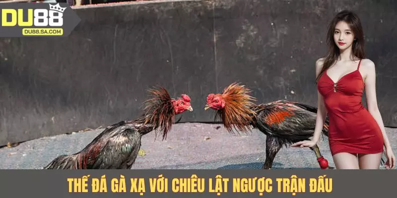 Thế đá gà xạ với chiêu lật ngược trận đấu