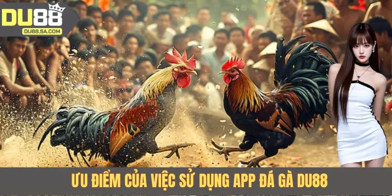 Ưu điểm của việc sử dụng app đá gà DU88 Ưu điểm của việc sử dụng app đá gà DU88